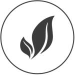 icon categorii produse_corp reparatoare